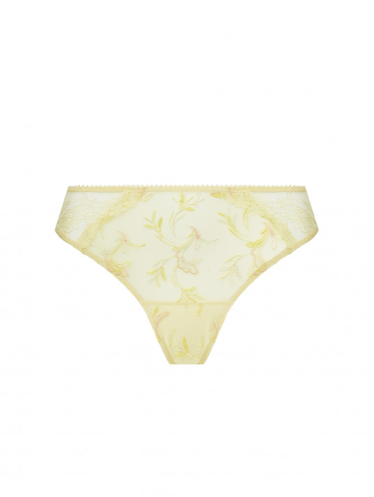 Lise Charmel classic brief FRISSON D'OR