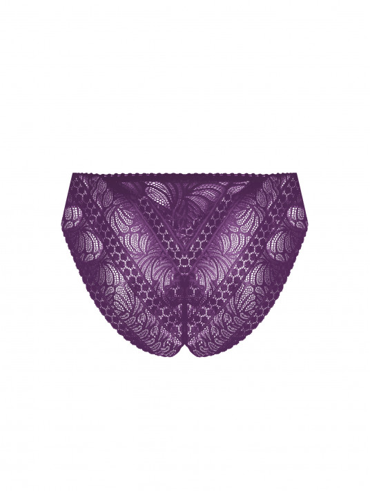 Antigel Seduction brief purple ATELIER SEDUCTION