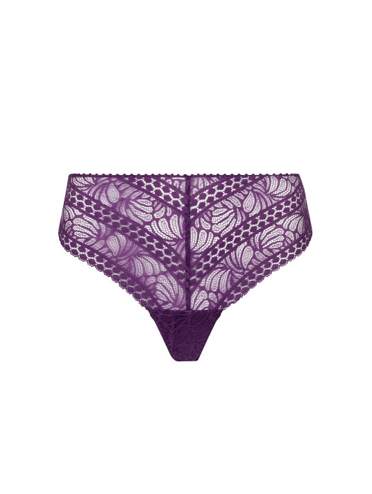 Antigel Seduction brief purple ATELIER SEDUCTION